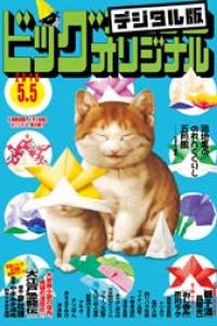 2026年05号