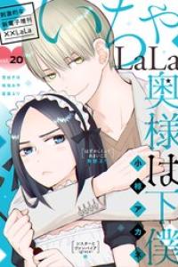 Vol.20