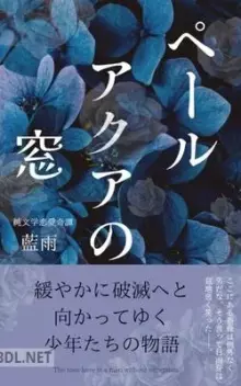 ペールアクアの窓 緩やかに破滅へと向かってゆく少年たちの物語