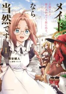 メイドなら当然です。 ～万能メイド、濡れ衣かぶって旅に出る。～