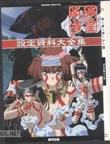 南海奇皇ネオランガ設定資料大全集