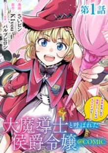 大魔導士と呼ばれた侯爵令嬢～世界が汚いので掃除していただけなんですけど……～