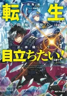 転生した空間魔法使いは正体隠して目立ちたい  epub