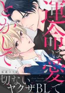 運命は愛でとかして