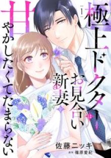 極上ドクターはお見合い新妻を甘やかしたくてたまらない