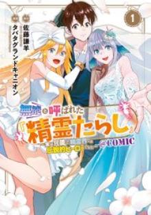 無能と呼ばれた『精霊たらし』