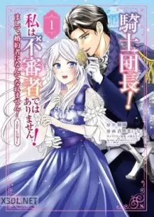 騎士団長！ 私は不審者ではありません！ THE COMIC