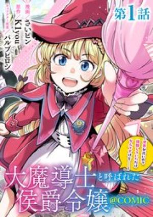 大魔導士と呼ばれた侯爵令嬢～世界が汚いので掃除していただけなんですけど……～
