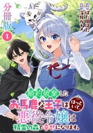 婚約破棄したお馬鹿な王子はほっといて、悪役令嬢は精霊の森で幸せになります。