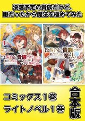 没落予定の貴族だけど、暇だったから魔法を極めてみた