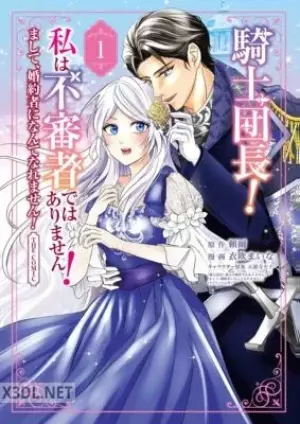 騎士団長！ 私は不審者ではありません！ THE COMIC